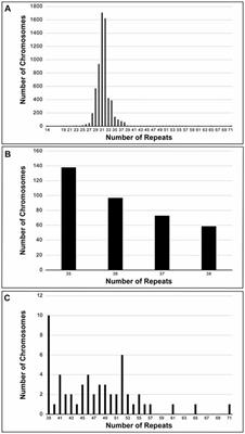 PolyQ Tract Toxicity in SCA1 is Length Dependent in the Absence of CAG Repeat Interruption